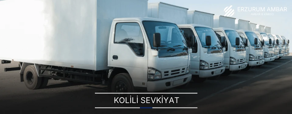 Erzurum Kolili Sevkiyat Ambar Firmaları