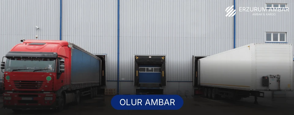 Olur Ambar Kargo